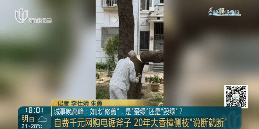 皇冠信用網在线申请
_上海一小区20年香樟说砍就砍皇冠信用網在线申请
！八旬老爷叔：拿我怎么样？
