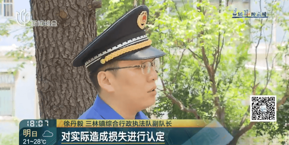 皇冠信用網在线申请
_上海一小区20年香樟说砍就砍皇冠信用網在线申请
！八旬老爷叔：拿我怎么样？