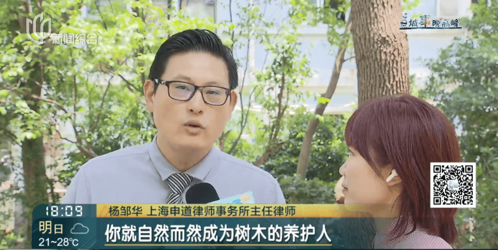 皇冠信用網在线申请
_上海一小区20年香樟说砍就砍皇冠信用網在线申请
！八旬老爷叔：拿我怎么样？