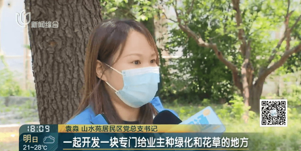 皇冠信用網在线申请
_上海一小区20年香樟说砍就砍皇冠信用網在线申请
！八旬老爷叔：拿我怎么样？