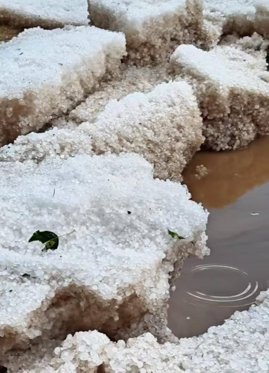 奥雷布洛vs乌米亚
_甘肃夏河县遭遇冰雹袭击：有游客称持续大半个小时奥雷布洛vs乌米亚
，当地人称“十年不遇”