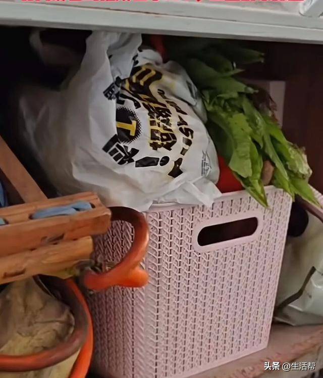 皇冠代理网址_山东一家三口春节返乡途中突生变故皇冠代理网址，车辆抛锚，患病儿子离世，父亲：感谢服务区送菜捐款，想赶紧修车回家给孩子处理后事